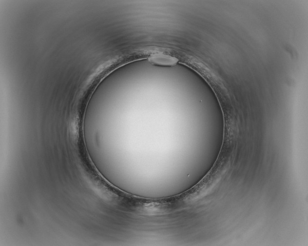 X0000112900064200909041731