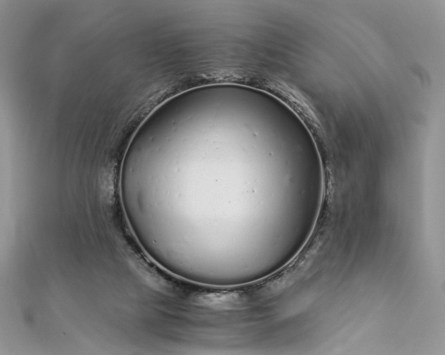 X0000112900065200909041731