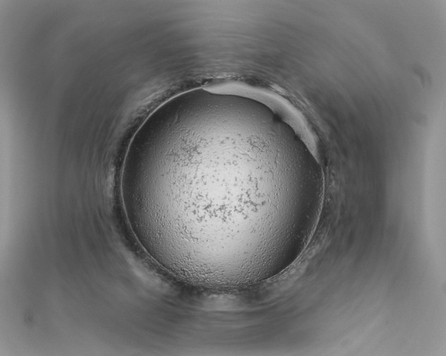 X0000112900066200909041731