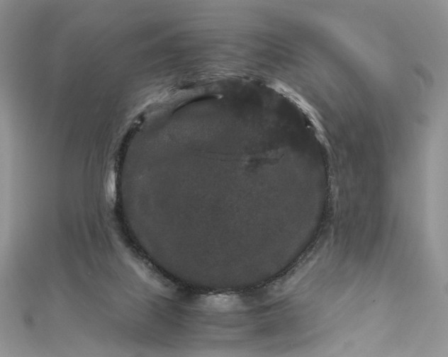 X0000112900067200909041731