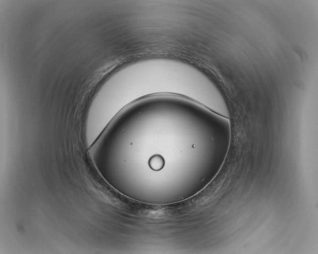 X0000112900068200909041731