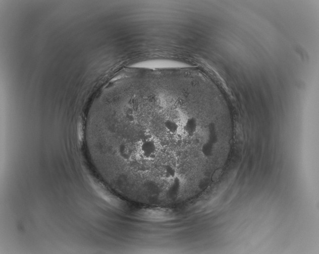 X0000112900069200909041731