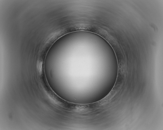 X0000112900070200909041731