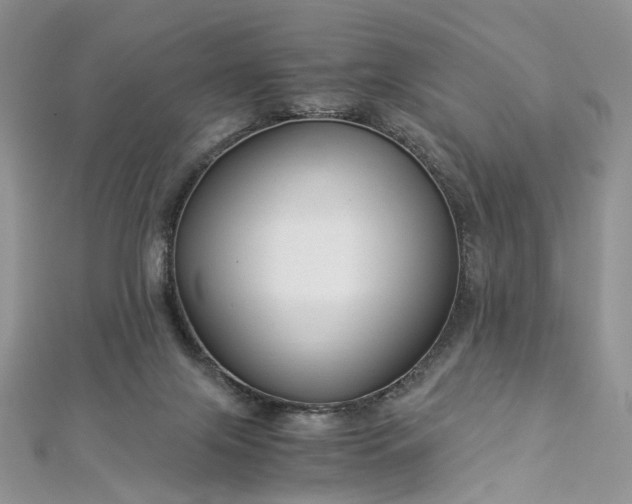 X0000112900071200909041731