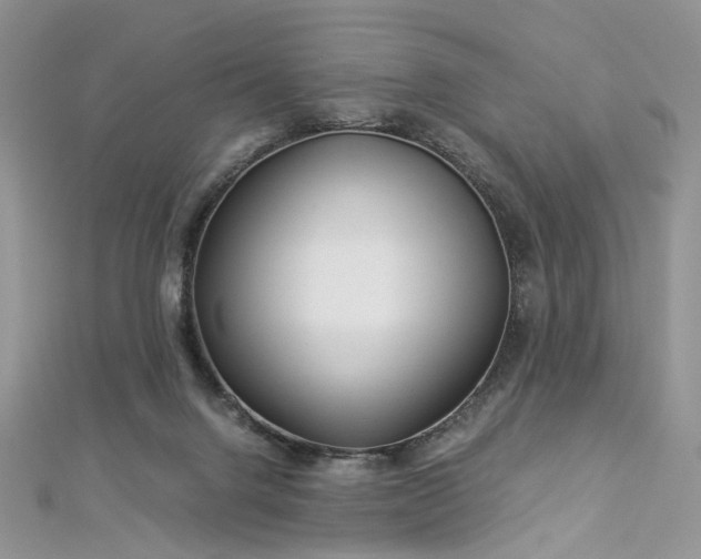 X0000112900072200909041731