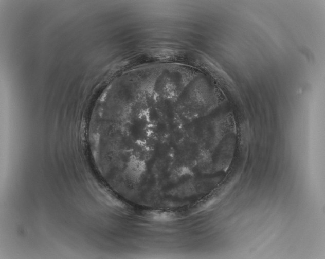 X0000112900073200909041731