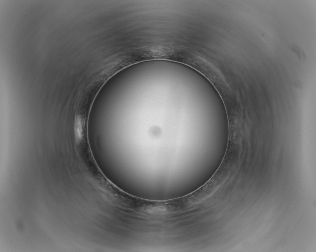 X0000112900075200909041731