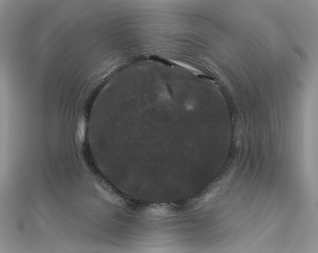 X0000112900076200909041731