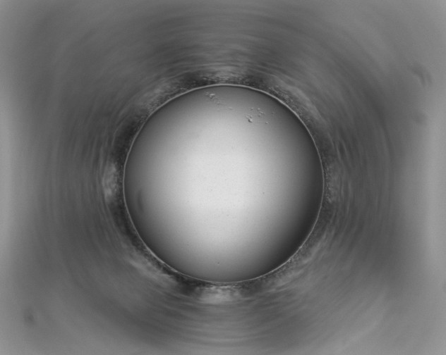 X0000112900077200909041731
