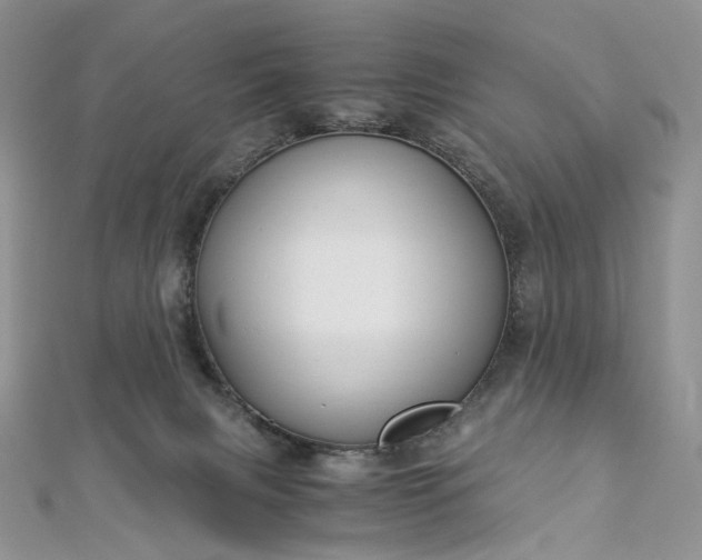 X0000112900079200909041731