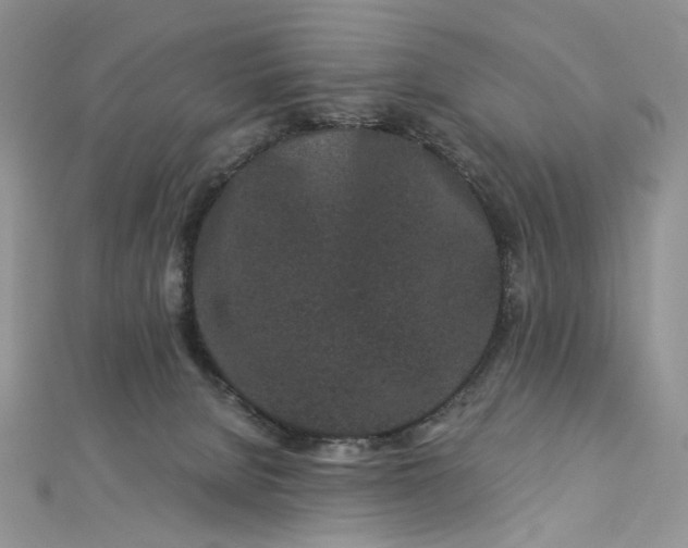 X0000112900080200909041731