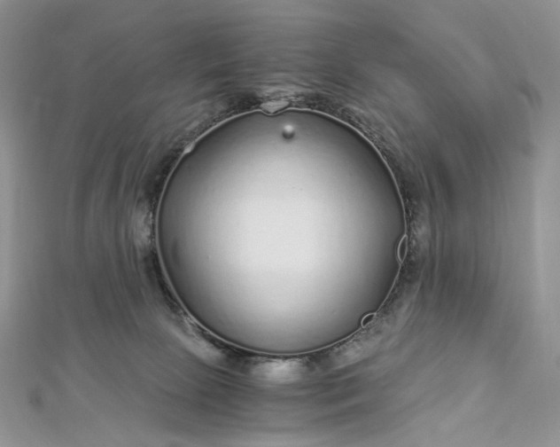 X0000112900081200909041731