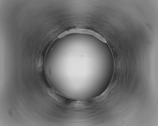 X0000112900082200909041731