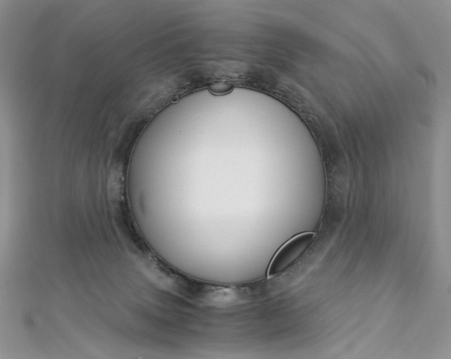 X0000112900083200909041731