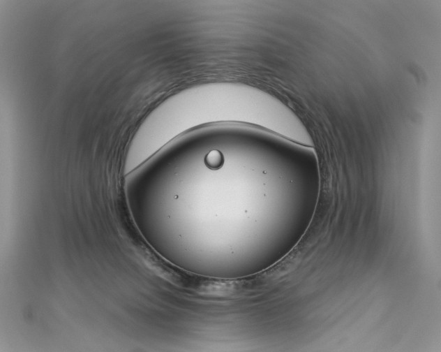 X0000112900084200909041731