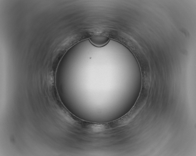 X0000112900085200909041731