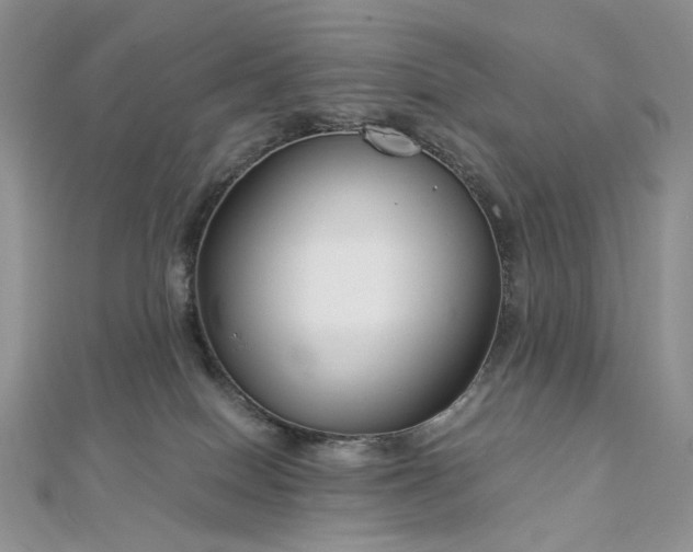 X0000112900086200909041731