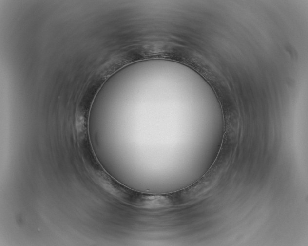 X0000112900087200909041731