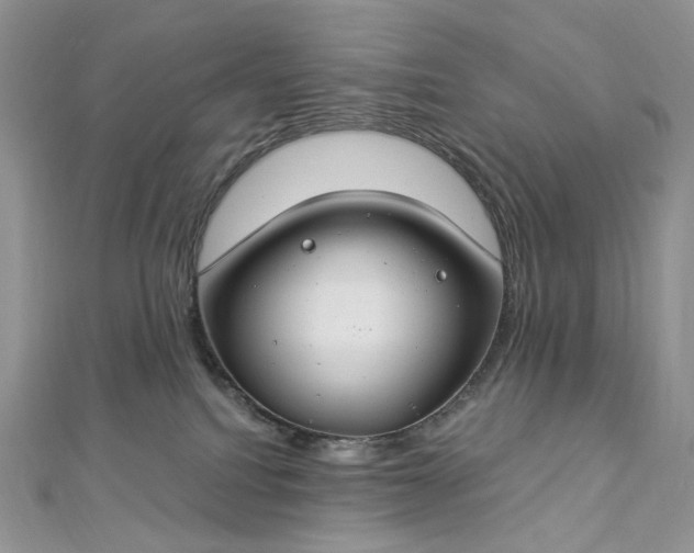 X0000112900088200909041731