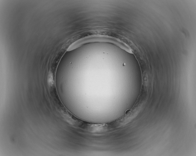 X0000112900089200909041731