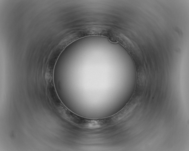 X0000112900091200909041731