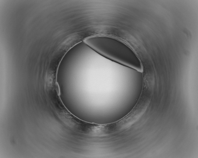 X0000112900092200909041731