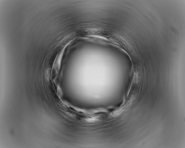 X0000112900093200909041731