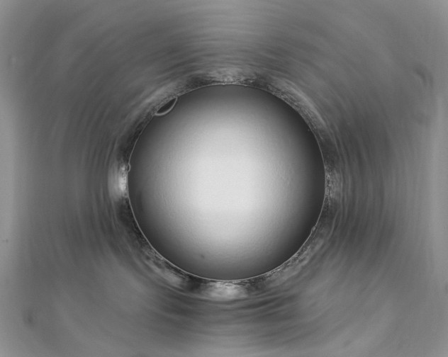 X0000112900095200909041731