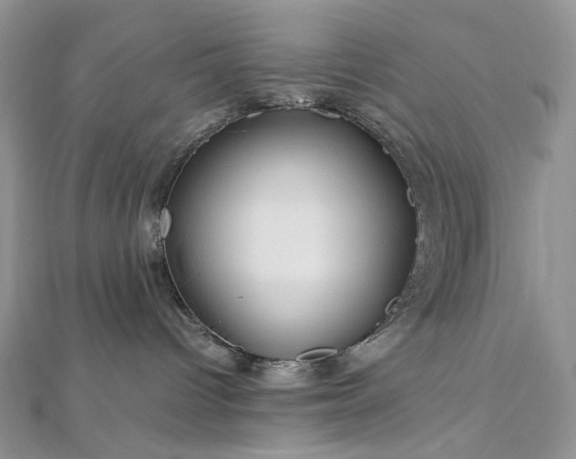 X0000112900096200909041731