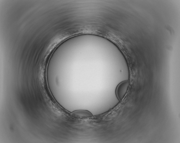 X0000112900098200909041731