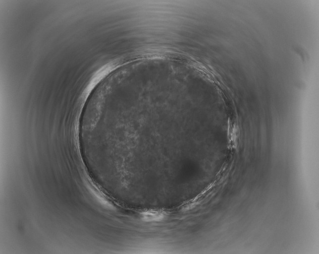 X0000112900099200909041731