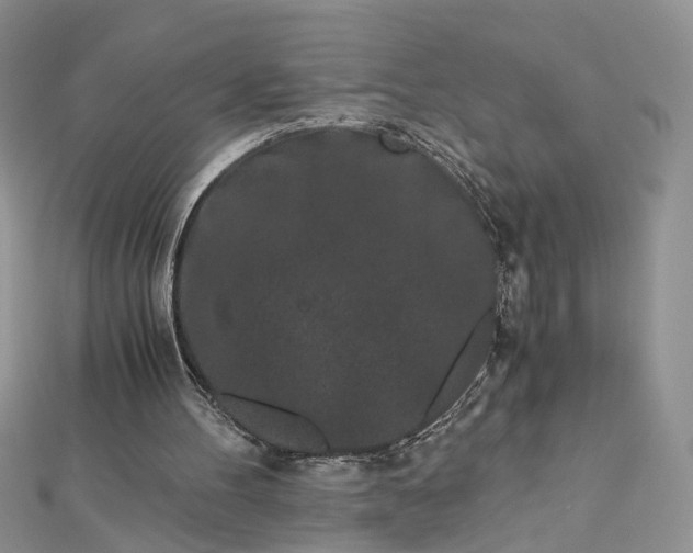 X0000112900100200909041731