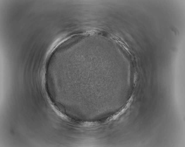 X0000112900101200909041731