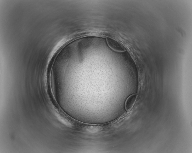 X0000112900102200909041731