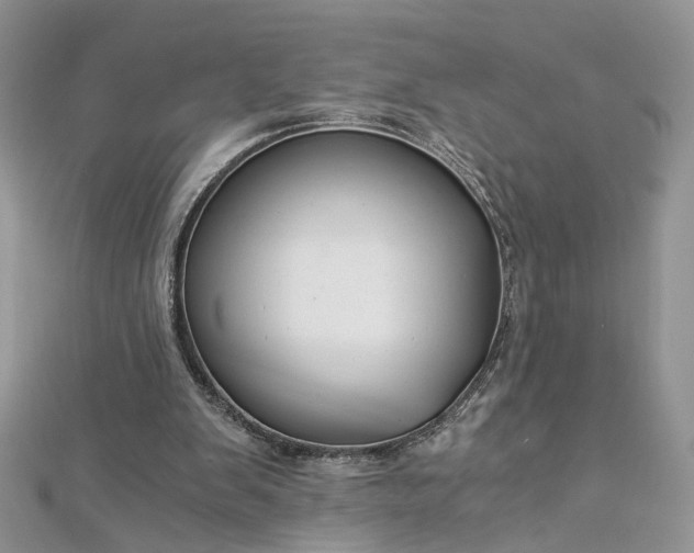 X0000112900103200909041731