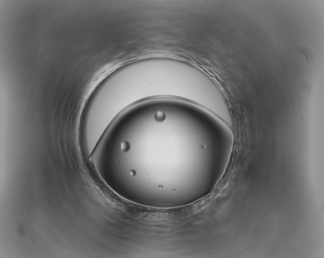 X0000112900104200909041730