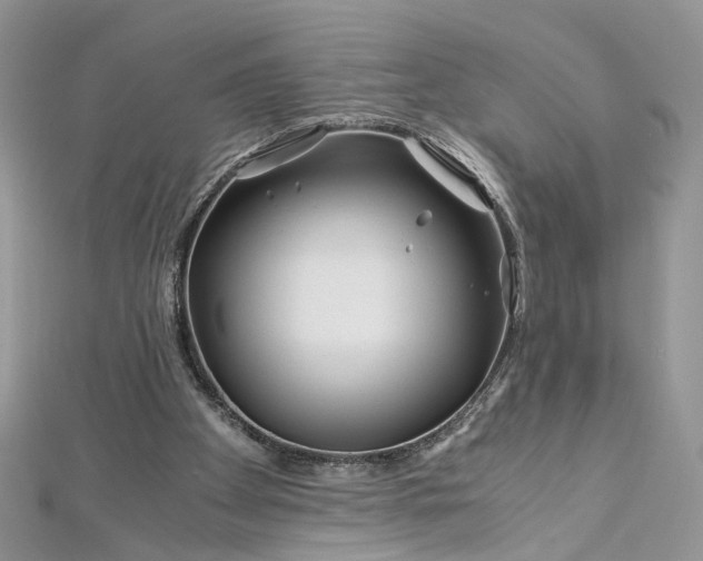 X0000112900105200909041730