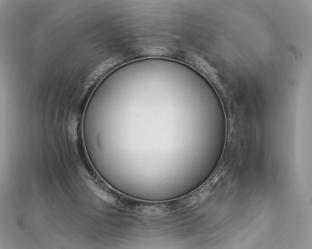 X0000112900106200909041730