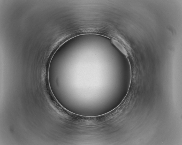 X0000112900107200909041730