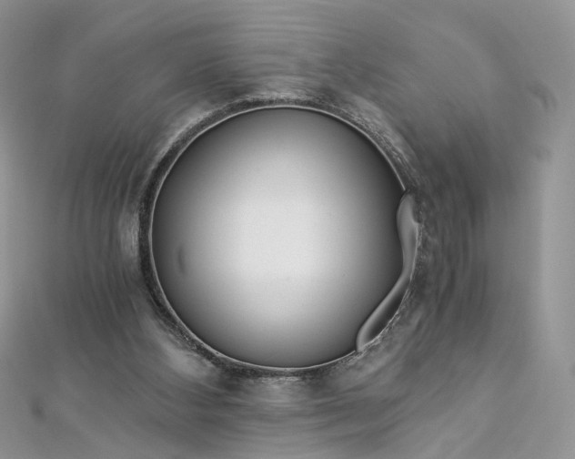 X0000112900108200909041730