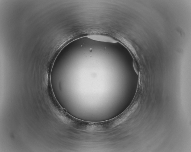 X0000112900109200909041730