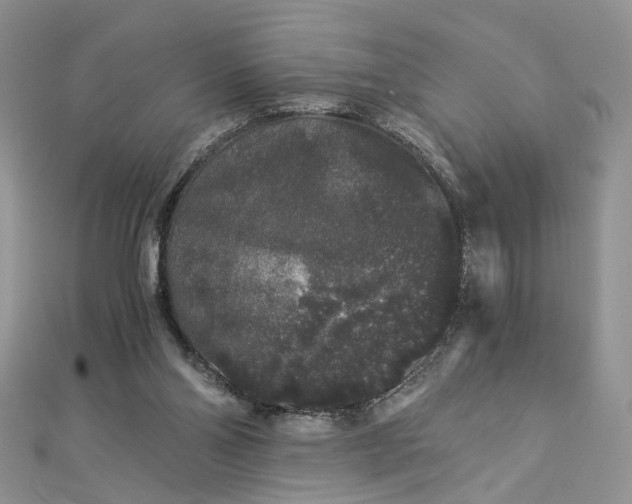 X0000112900110200909041730