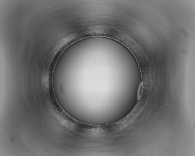 X0000112900112200909041730