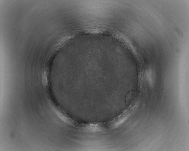 X0000112900114200909041730