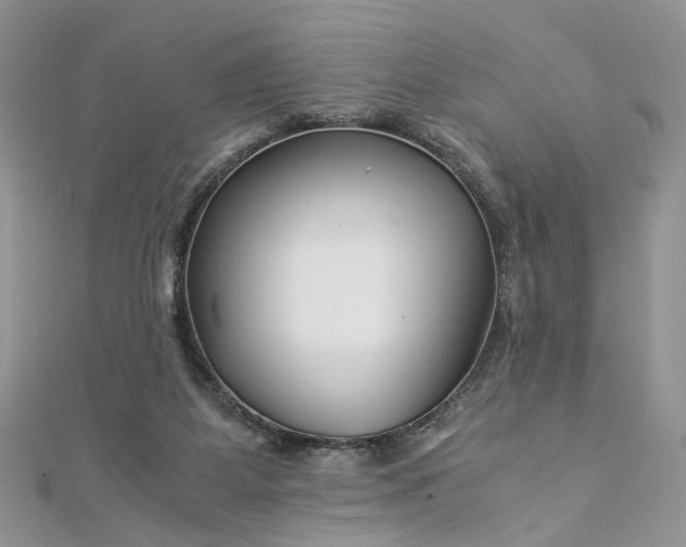 X0000112900115200909041730