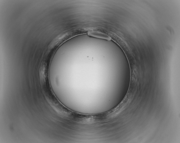 X0000112900116200909041730