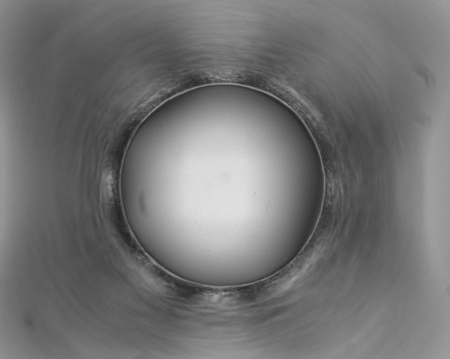 X0000112900117200909041730