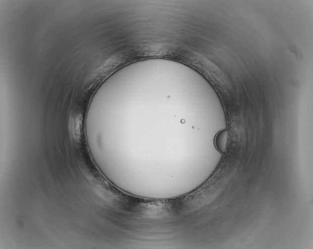 X0000112900118200909041730