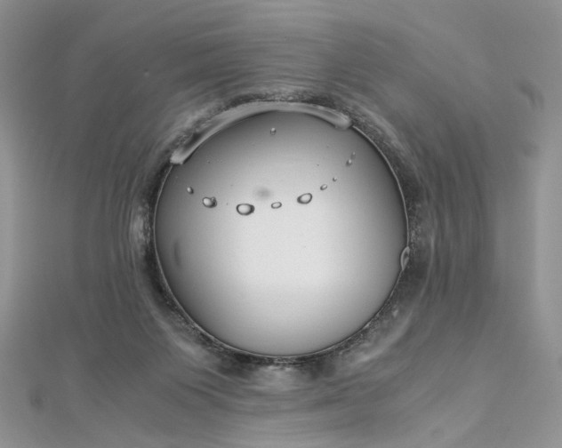 X0000112900119200909041730