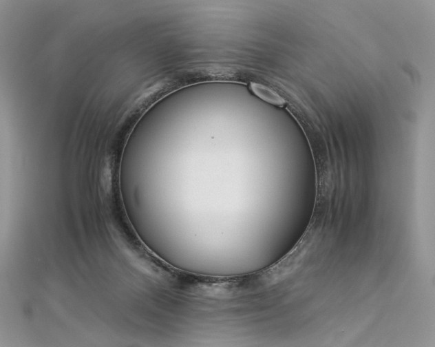 X0000112900120200909041730